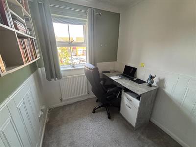 Picture 14